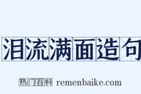 泪流满面造句是什么意思的图片